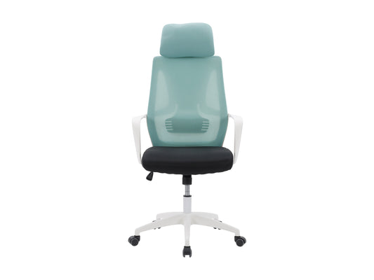 Teal and black high back office chair with ergonomic design, mesh backrest, padded seat, adjustable armrests, lumbar support, and swivel base, perfect for home or office use.